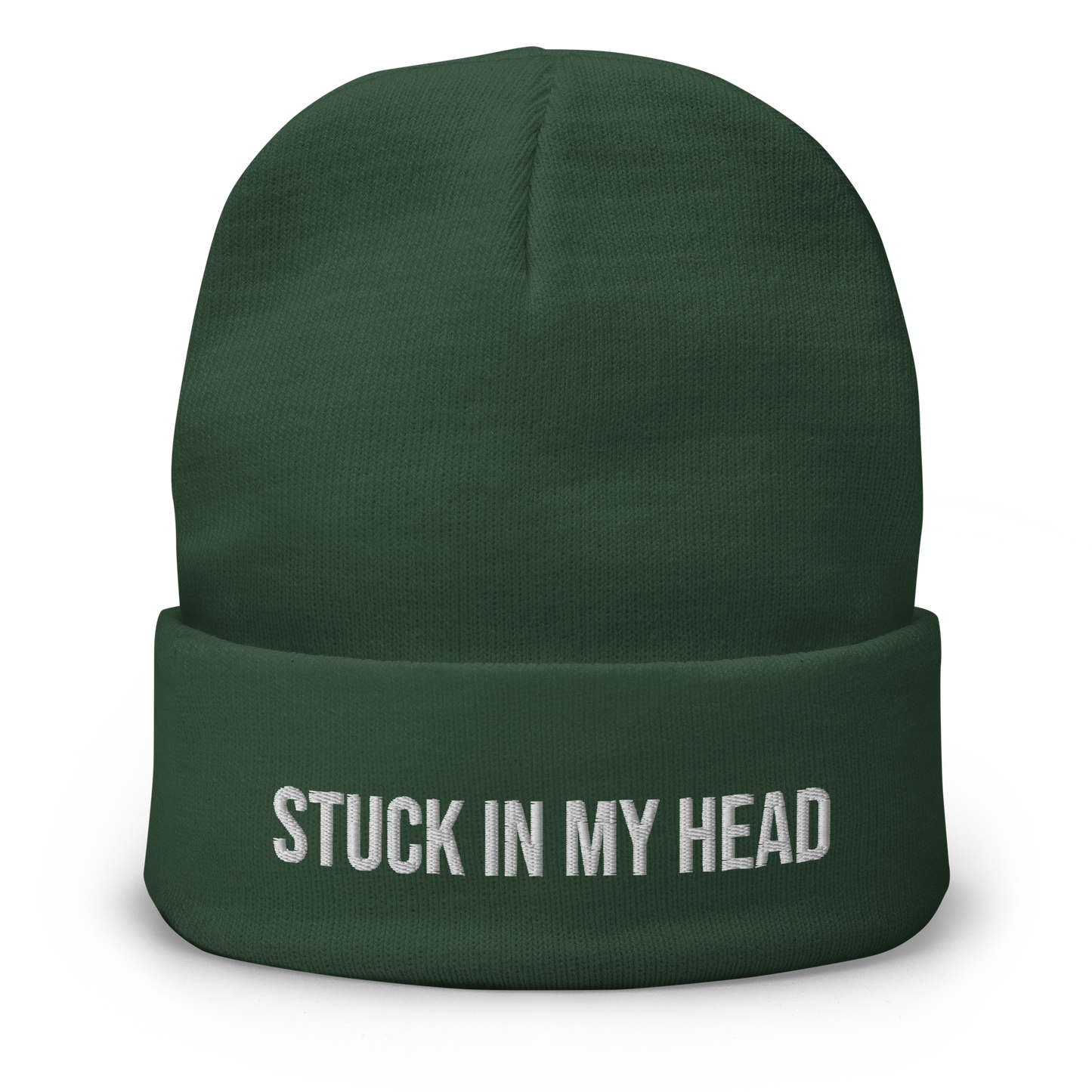 Stuck In My Head Beanie